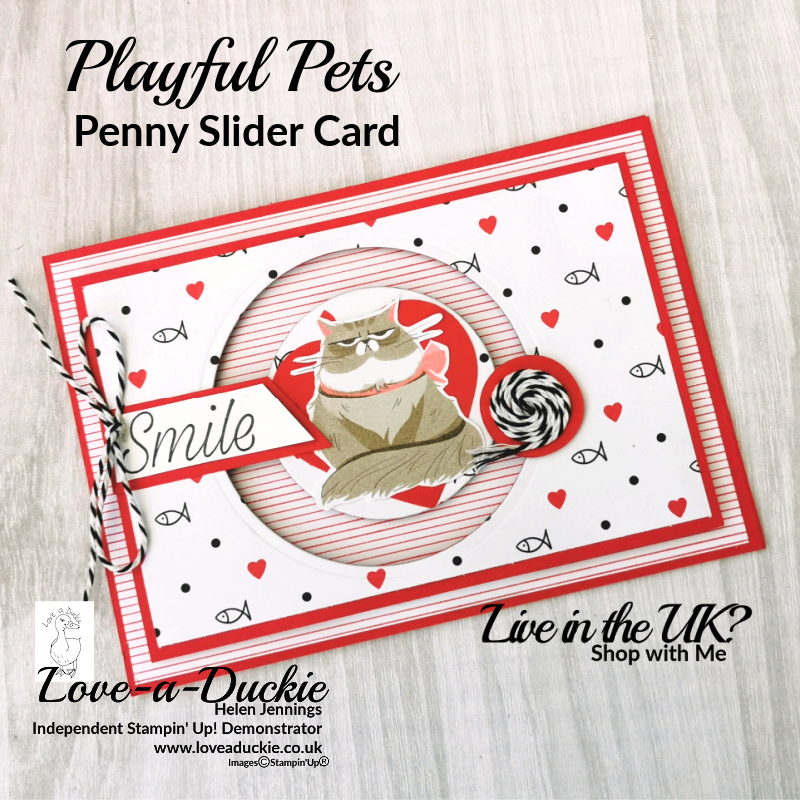A Penny Slider Cat featuring Playful pets Designer Series paper