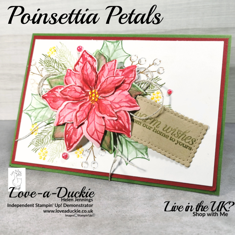 A layered poinsettia on this Christmas card using Stampin' up products.