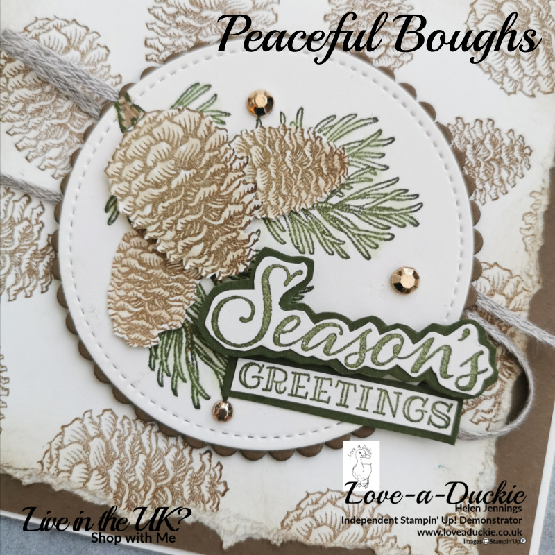 This card topper features pine boughs and pine cones from the Peaceful Boughs stamp set .