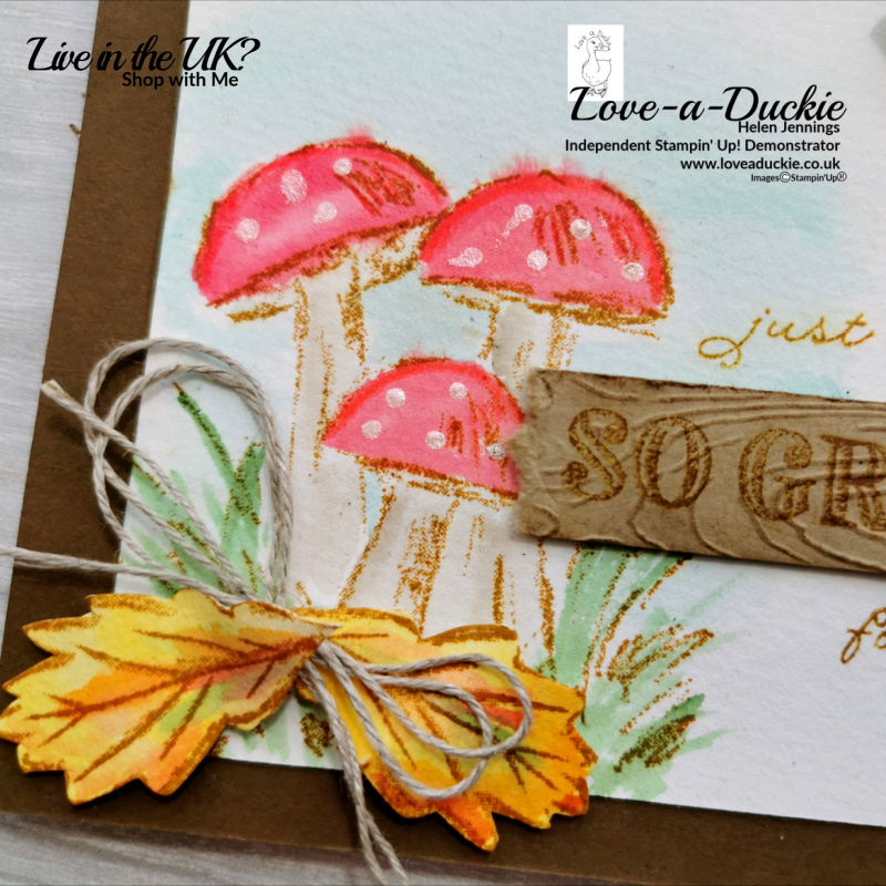 Watercoloured toadstools with shimmer paint dots on this Thankful card