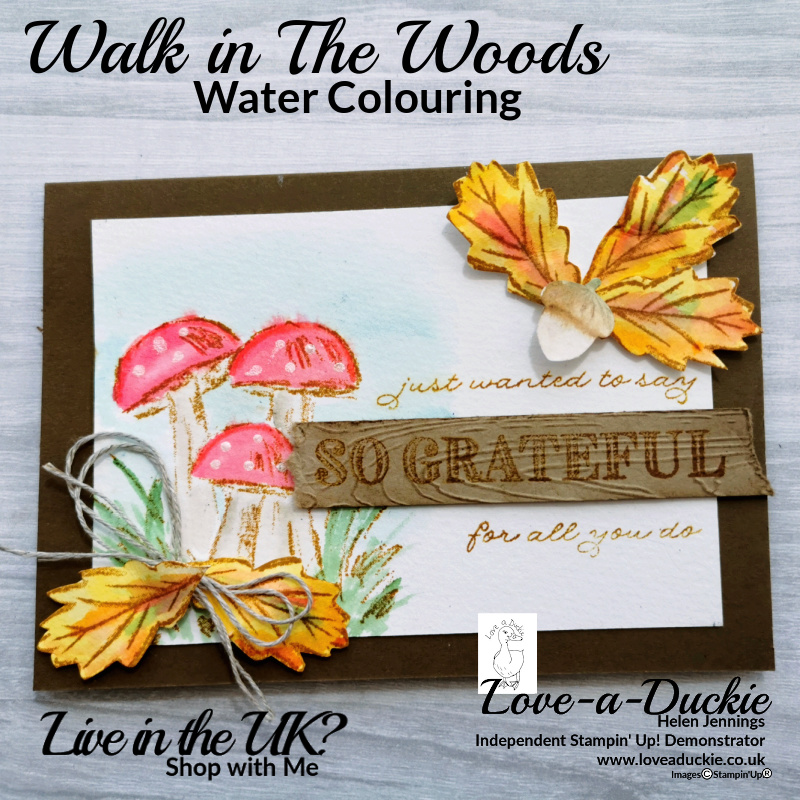 A water coloured card featuring Stampin' Up's walk in the woods stamp set