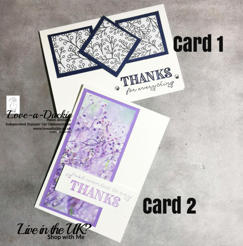 Quick and Easy Thank You cards using a One Sheet Wonder