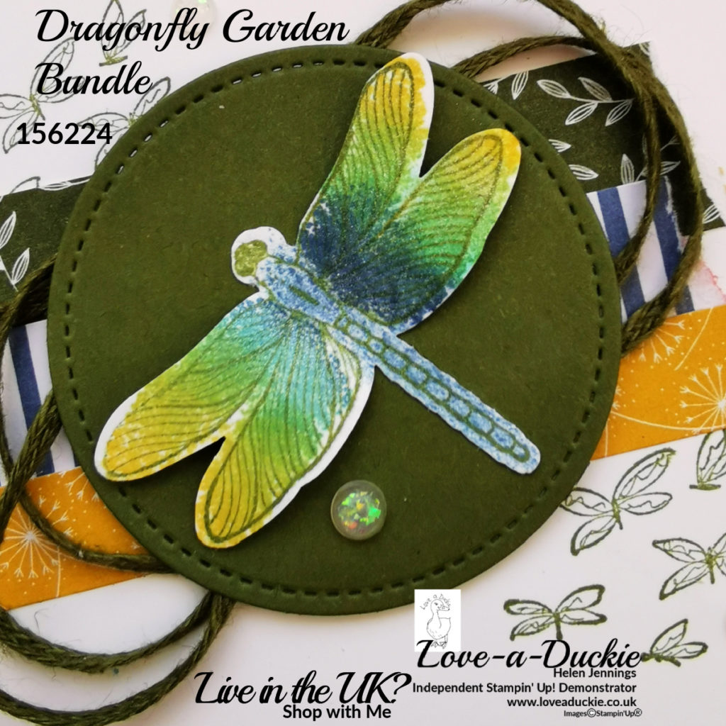 Frost white Shimmer paint gives sparkle to this dragonfly