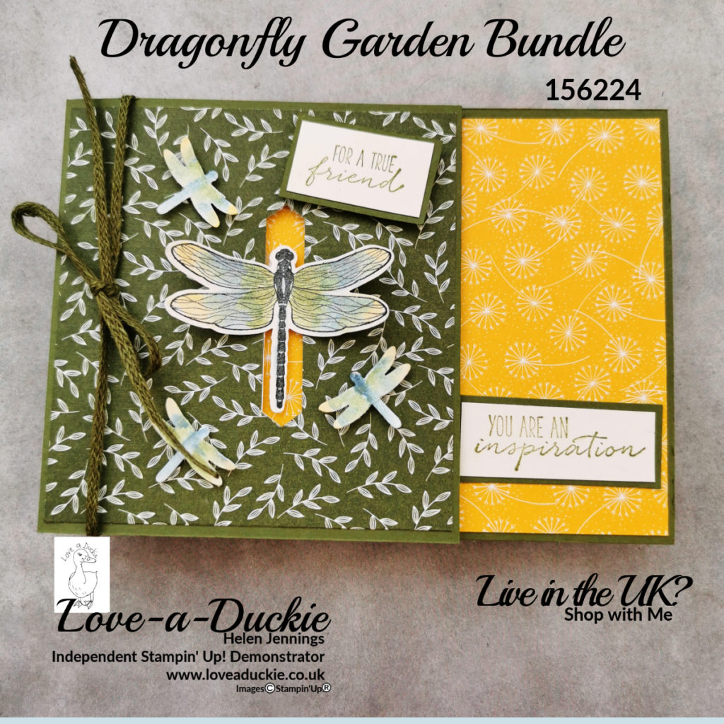 A fancy fold card created with the dragonfly Garden bundle from Stampin' Up!