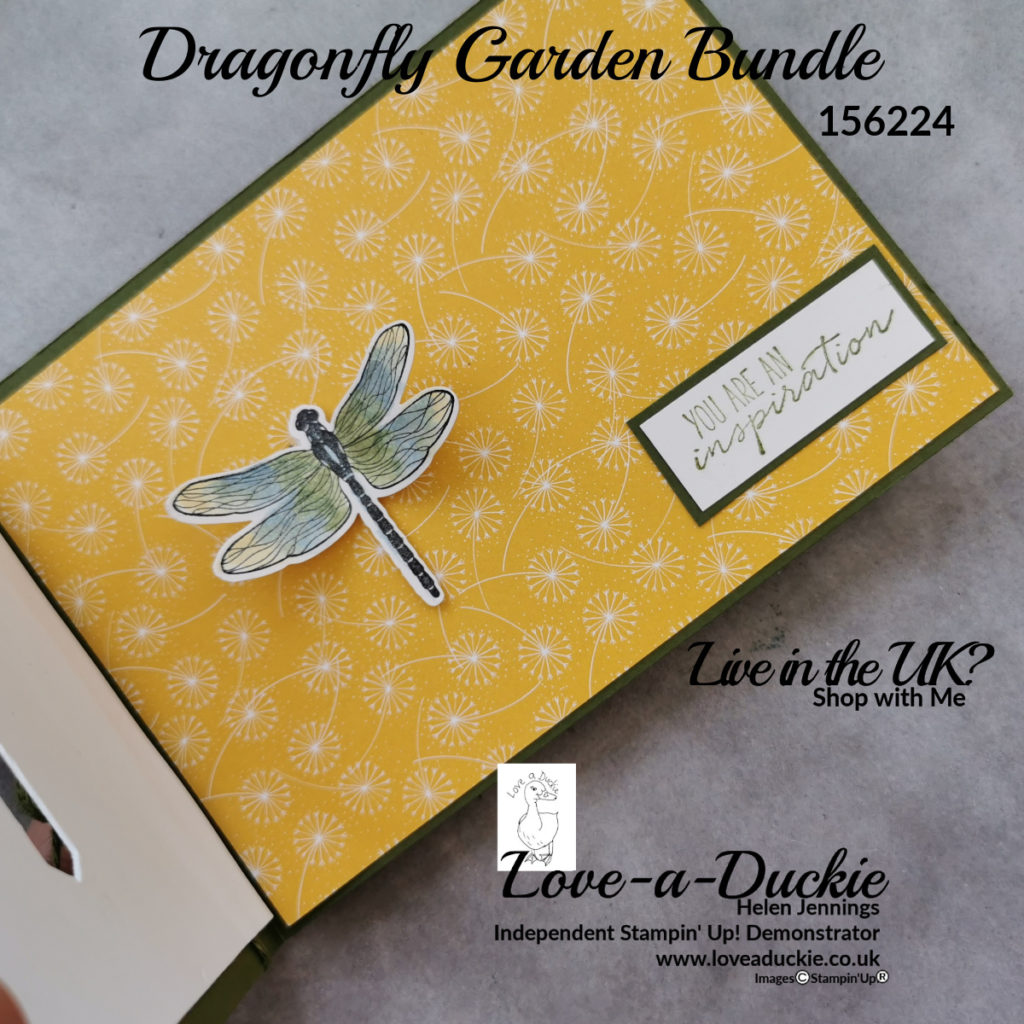 Beautiful dandy garden Designer series paper and Wink of Stella on the dragonfly.