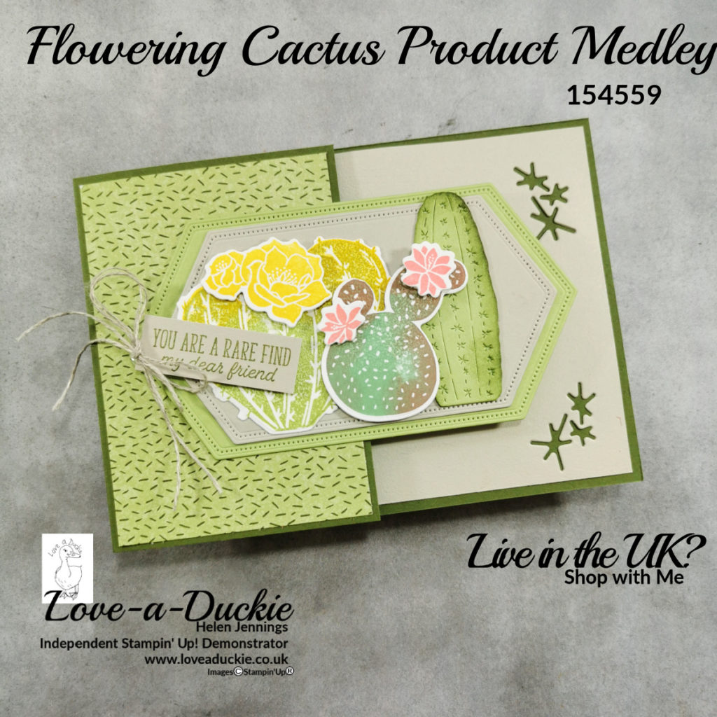 Fancy fold card inspiration using Flowering Cactus Product Medley from stampin Up