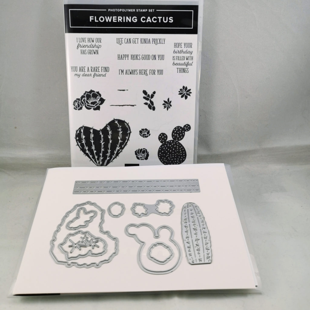 the stamp set and coordinating dies from Stampin Up's Flowering cactus medley