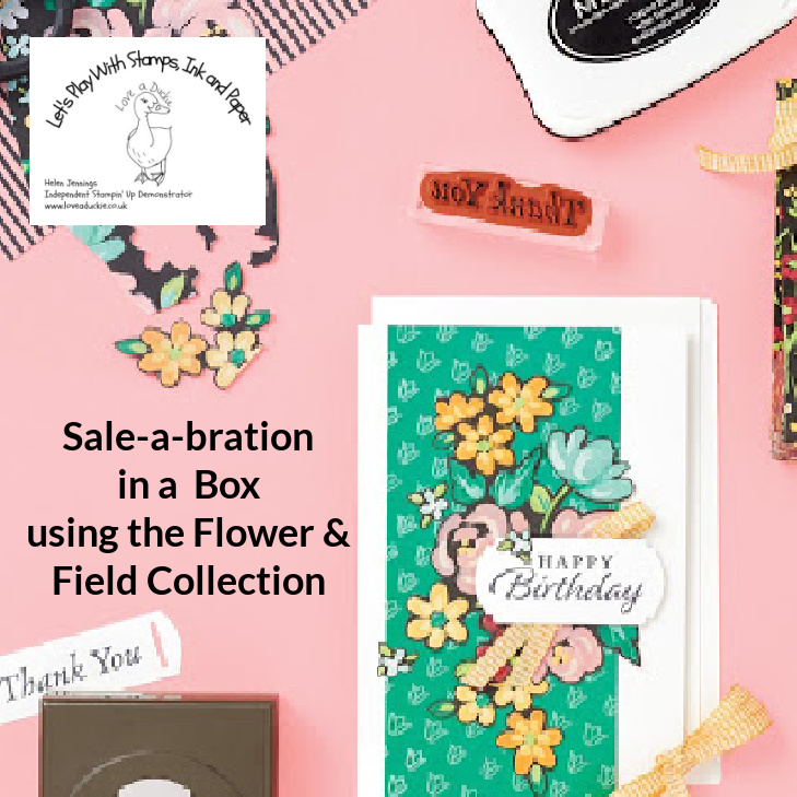 A class in the post creating 6 different cards with the Flower & Field collection from Stampin Up