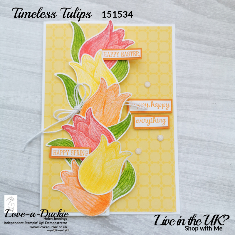 This Easter card features a  cascade of bright tulip heads and leaves on a simple fancy fold card front.