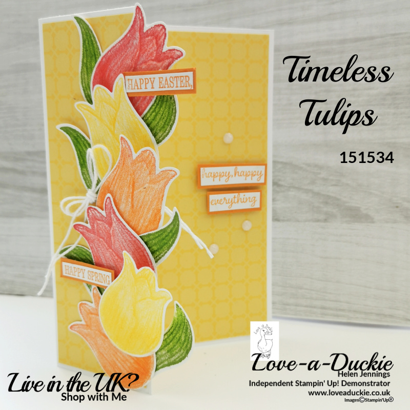 A bright spring card featuring tulips from Stampin' Up's Timeless Tulips and coordinating Tulip Builder Punch