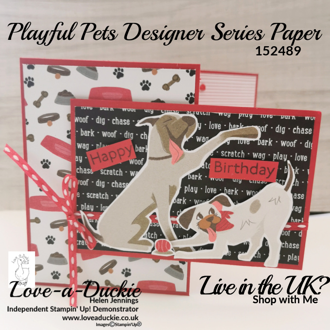 A fancy fold card featuring the Playful Pets Designer Series Paper