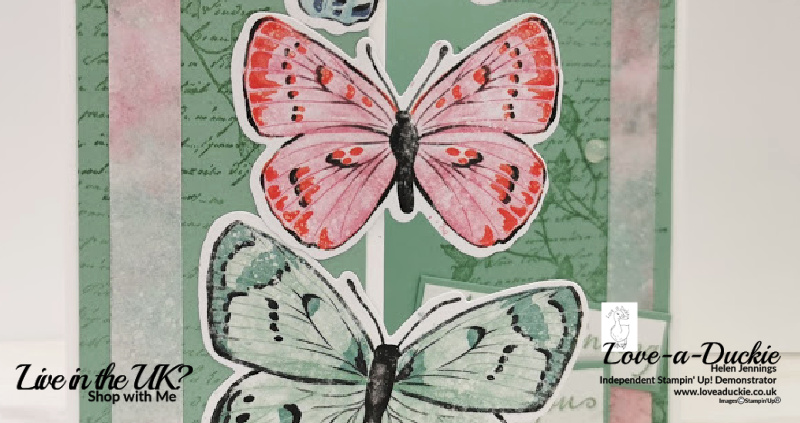 A Fold Back Card with Butterfly Bouquet