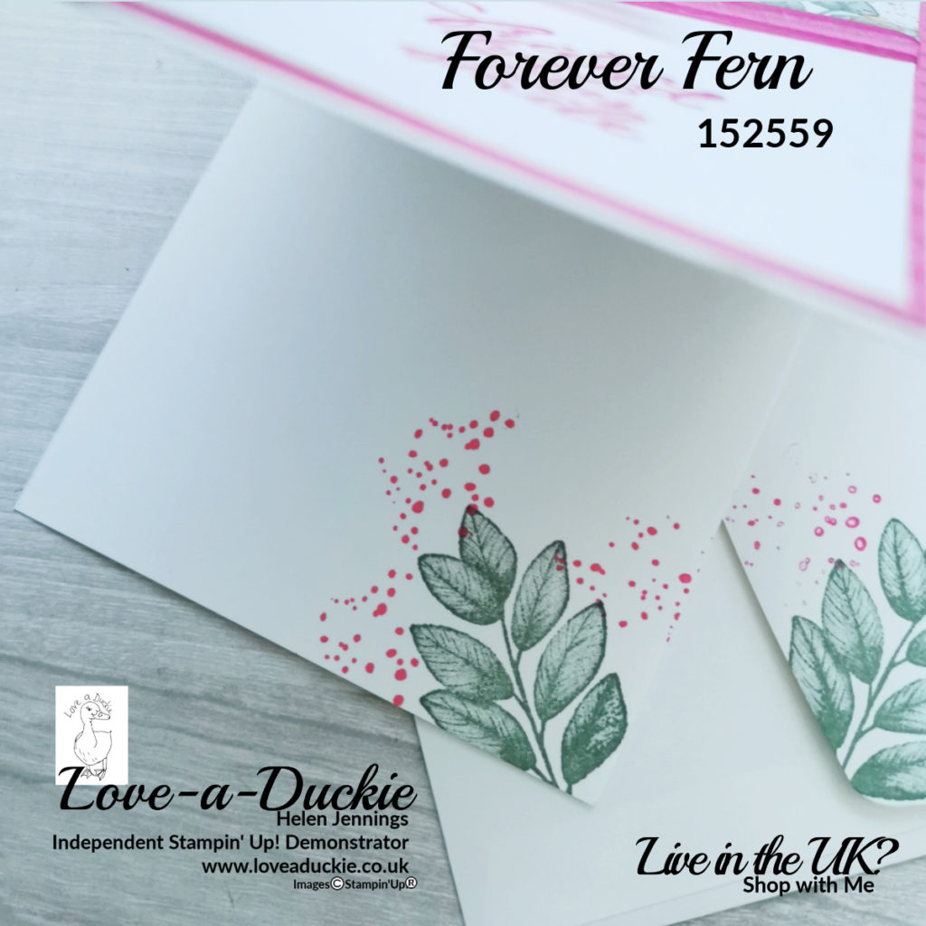 The envelope and inside of this card have been stamped with images from the |Forever fern stamp set