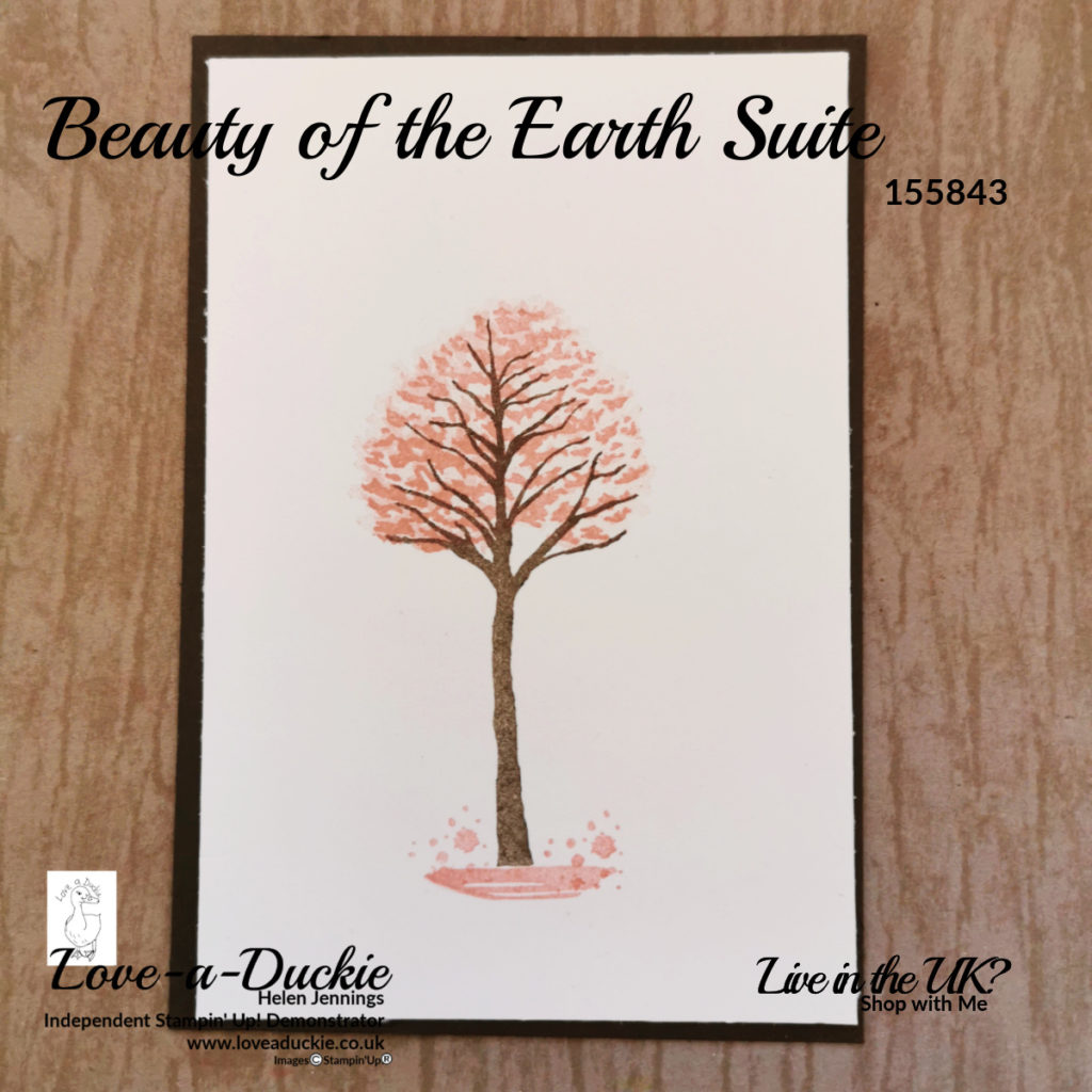 A Spring team using the beauty of the Earth Suite, two step stamping and Blushing Bride ink 