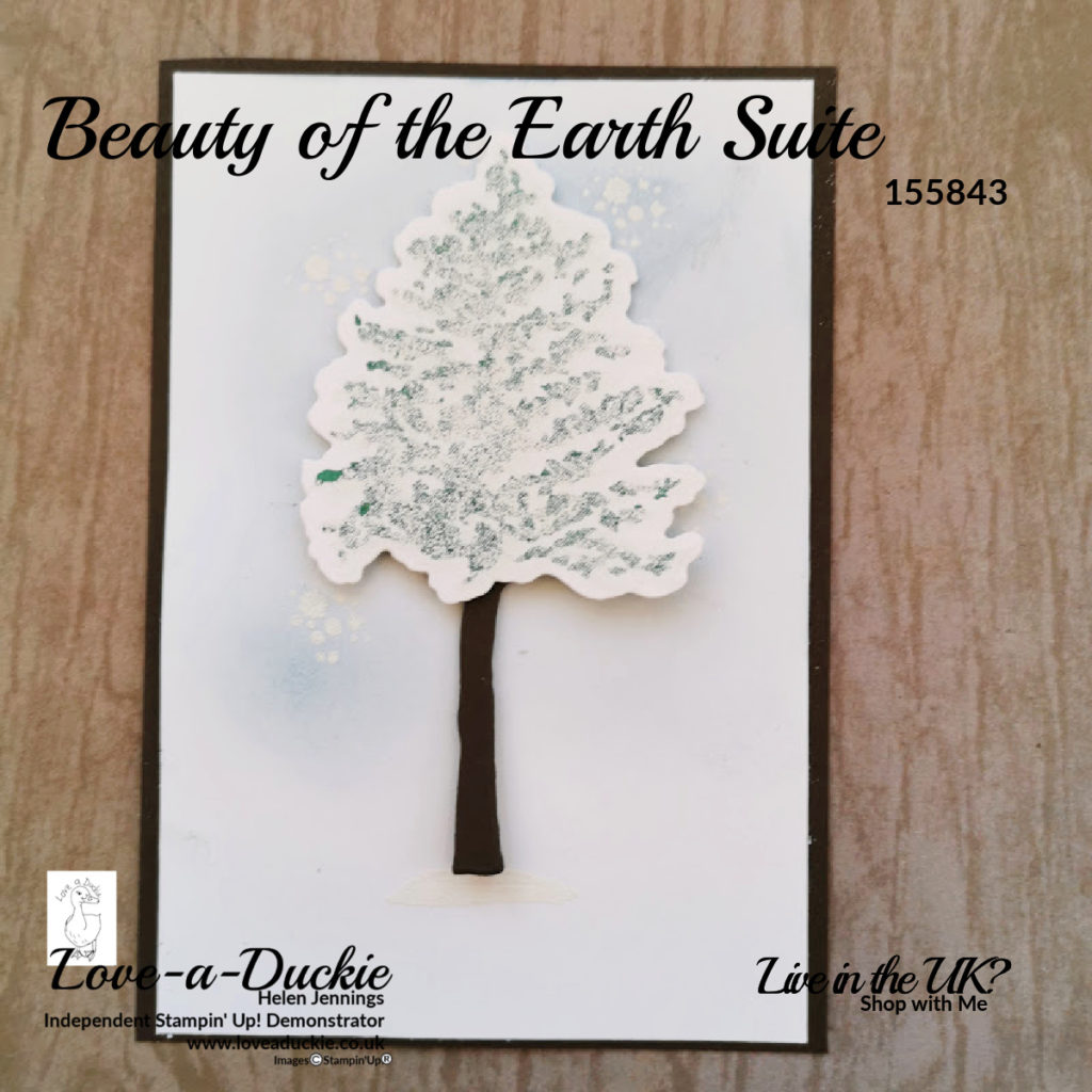 A snowy winter card using white embossing powder and the Beauty of the Earth Suite from Stampin' up