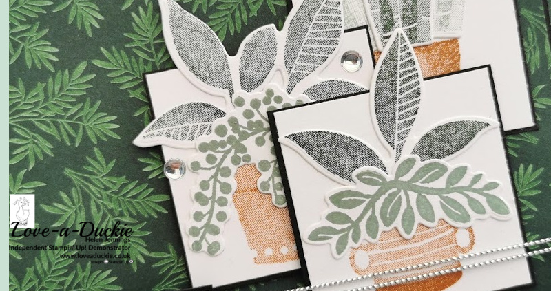 Bloom Where You’re Planted Sketch Challenge.