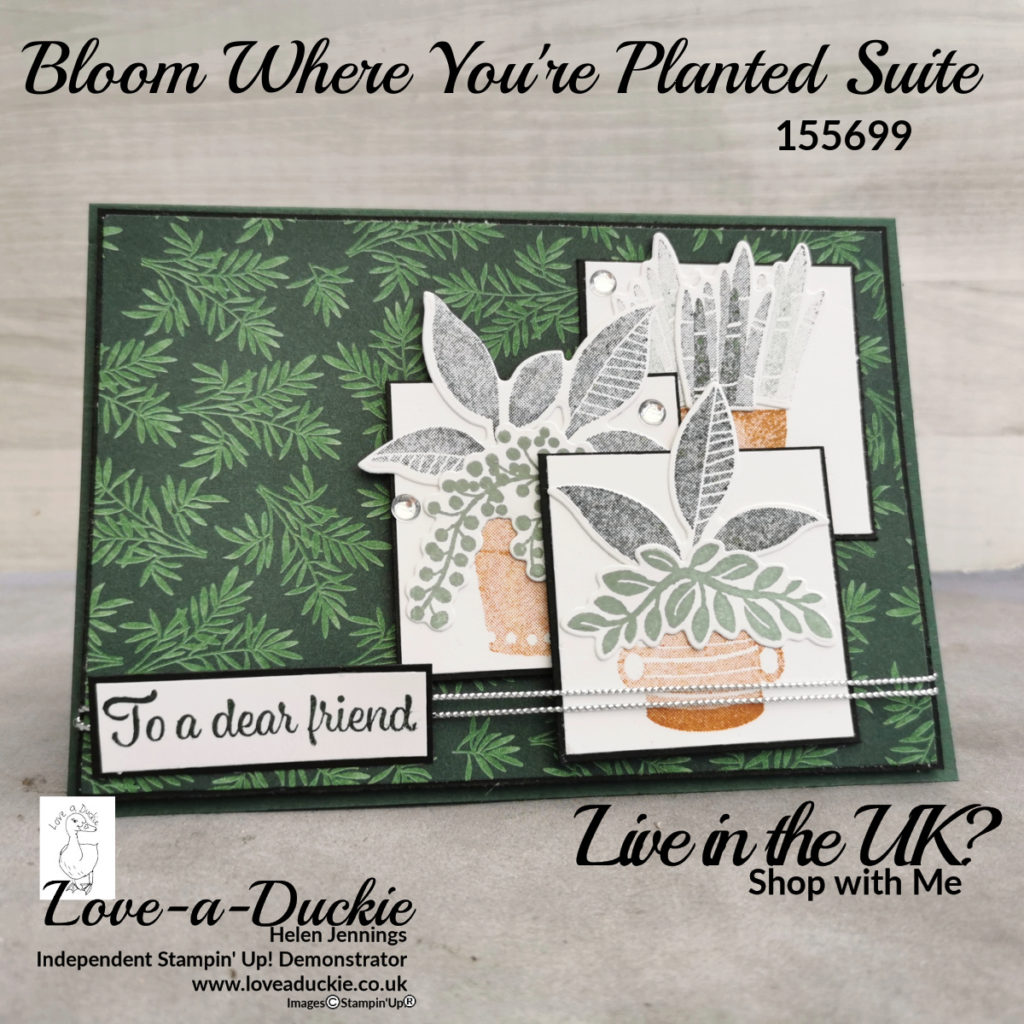 A card using a sketch and the Bloom where you are planted suite from stampin' up