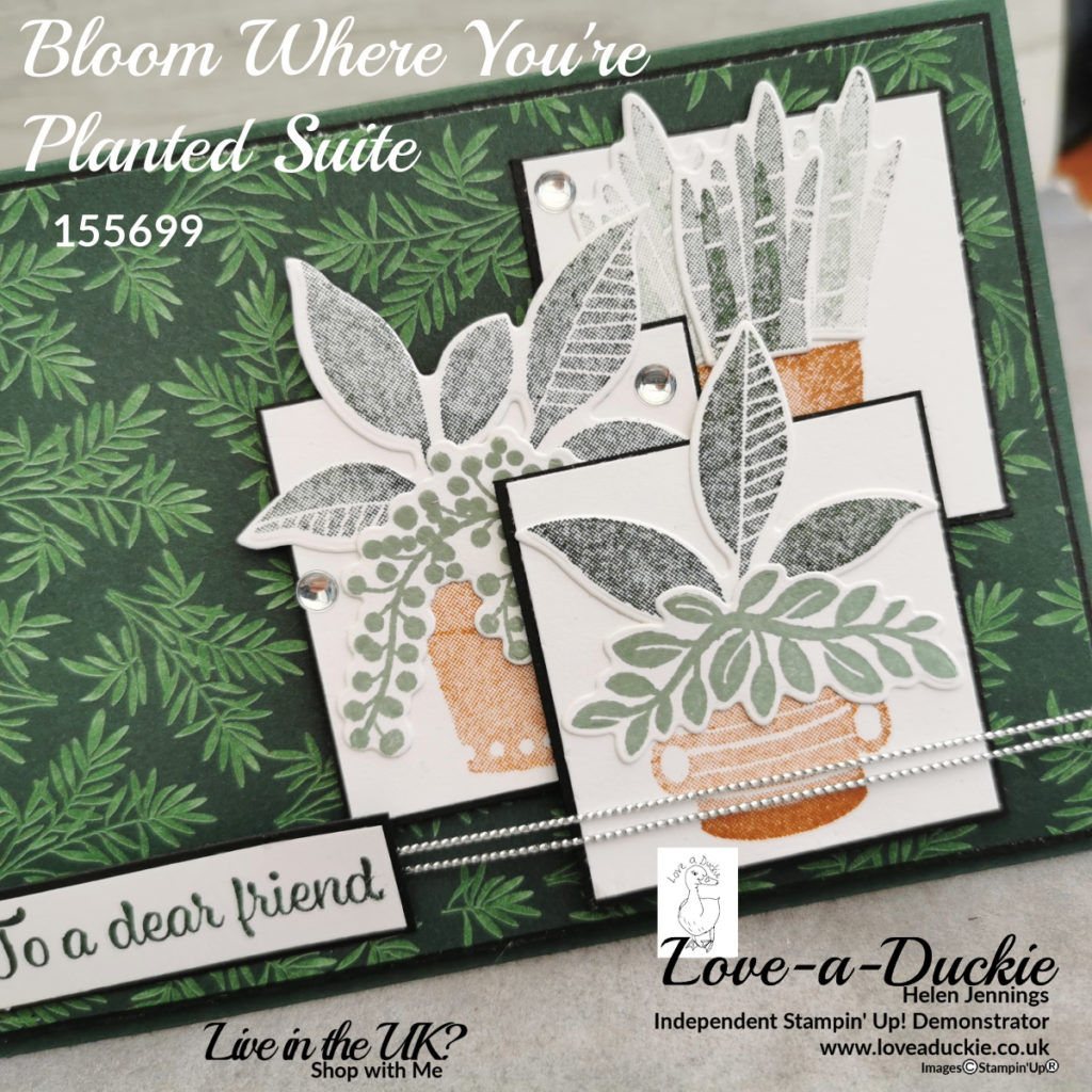 Images stamped and die cut from the Bloom Where you are planted suite from Stampin' Up  for a sketch challenge