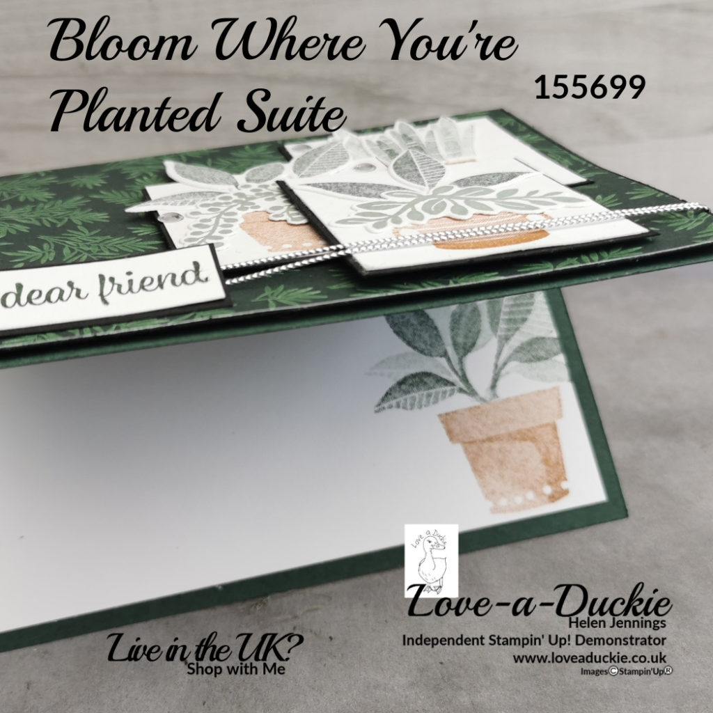the insert of a card stamped with the images from the bloom where you are planted suite from Stampin' Up