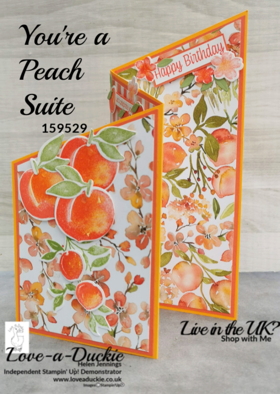 a peach summer wow card that is a zig zag fancy fold and uses Stampin' Up's You're a peach suite