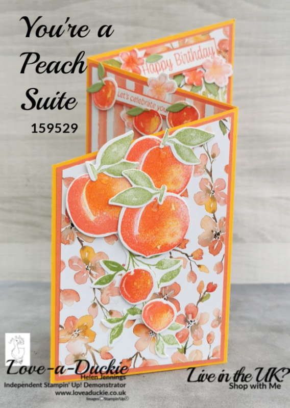 a zig zag fancy fold card that is a wow and uses the You're a Peach suite from Stampin' Up