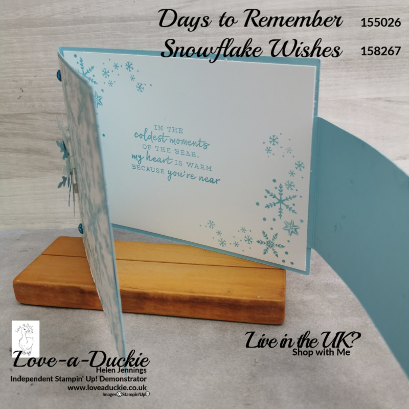 This fancy fold card features snowflakes stamped on the insert 