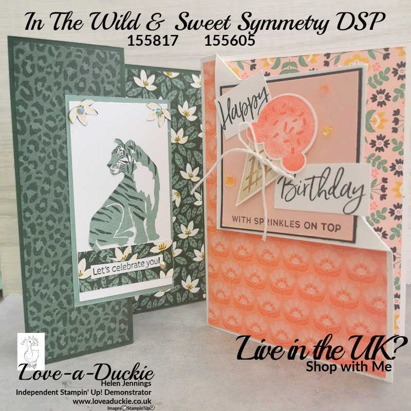 two fancy fold cards using different packs of patterned papers from Stampin' Up!