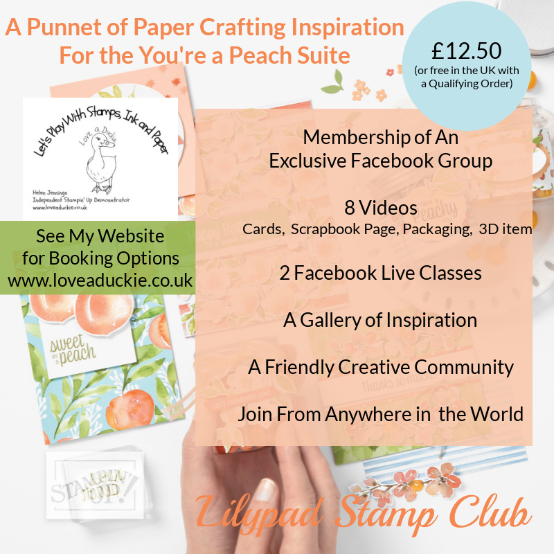 Two Facebook Live Classes and 8 videos using the You're a Peach Suite from Stampin' Up