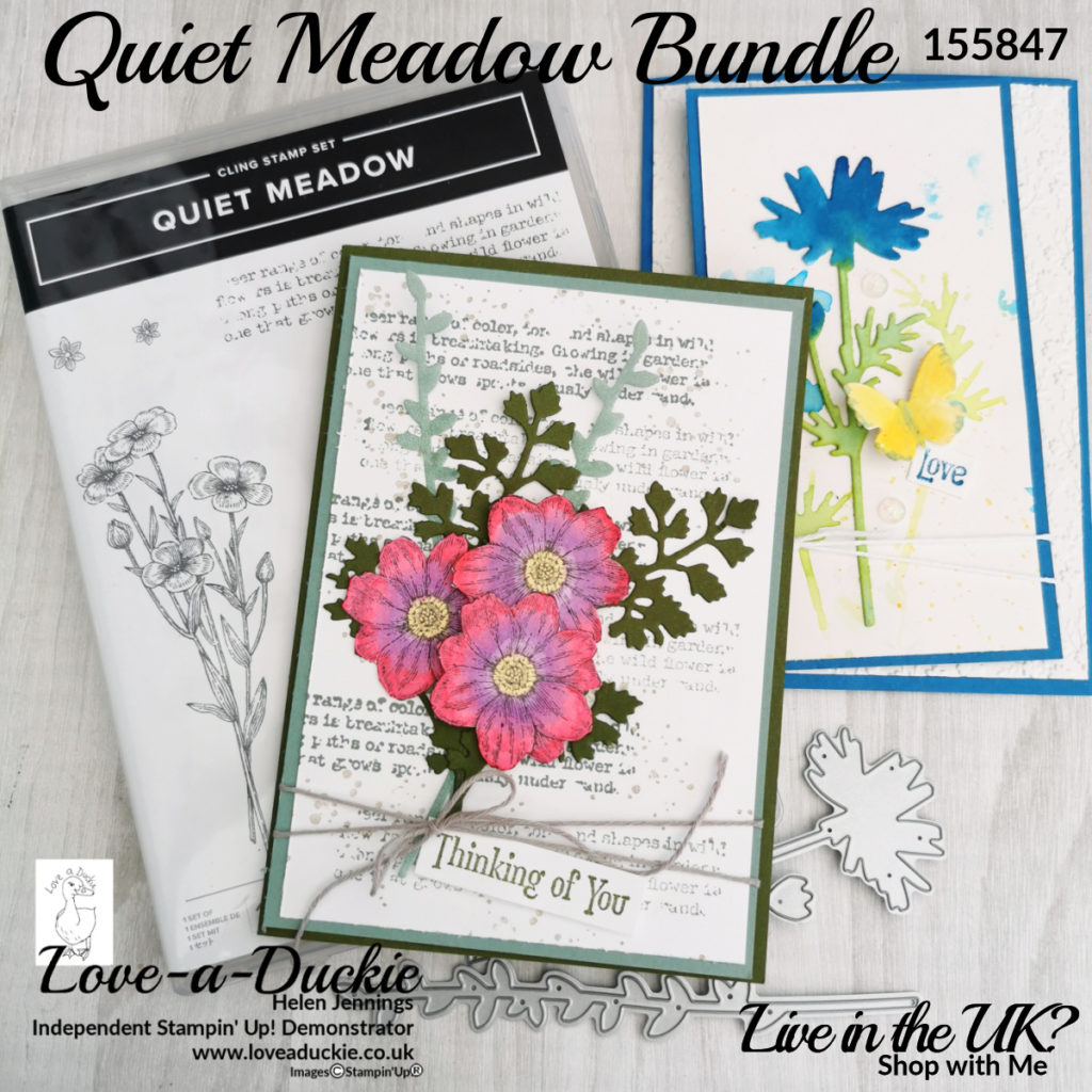 Two all occasion cards using the Quiet meadow bundle from Stampin' Upa and some different colouring techniques