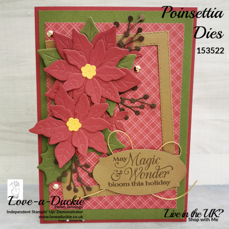 Poinsettia Christmas card in a frame using Stampin' Up's Poinsettia petals and poinsettia dies