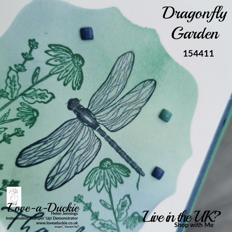 The dragonfly's wings on this ink blending and masking card, have been painted with a Clear Wink of Stella. All supplies from Stampin' Up