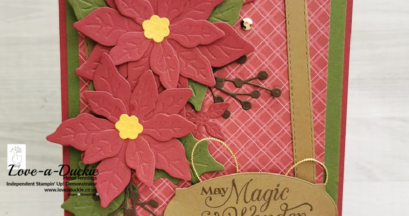 A Poinsettia Christmas Card