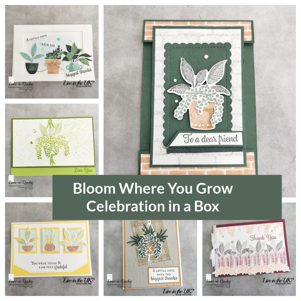 Celebration in a Box class with Stampin' Up's Bloom Where You Grow 