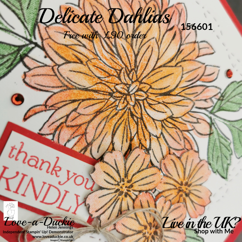 Wink of Stella was added to this Floral thank You card to give it more sparkle