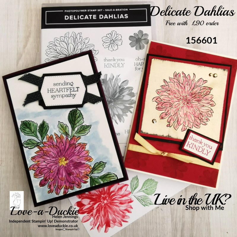 The Delicate Dahlia Stamp set and two cards using black ice and water colour techniques