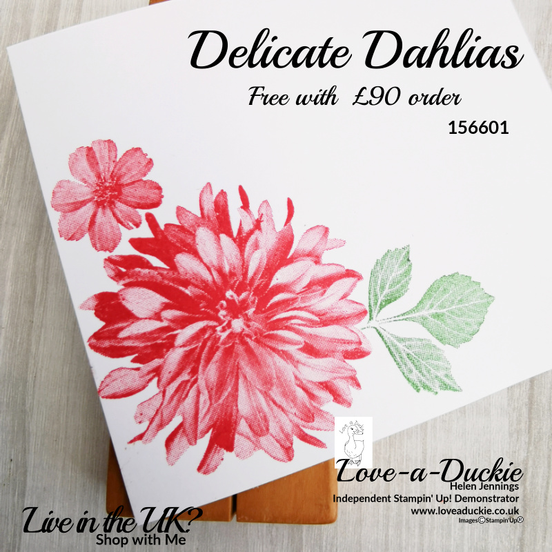 the distinktive dahlia stamp from stampin' Up just inked and stamped