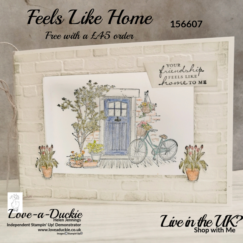 This aperture card features a stamped image from Feels like Home and coloured using watercolour pencils from Stampin' Up!