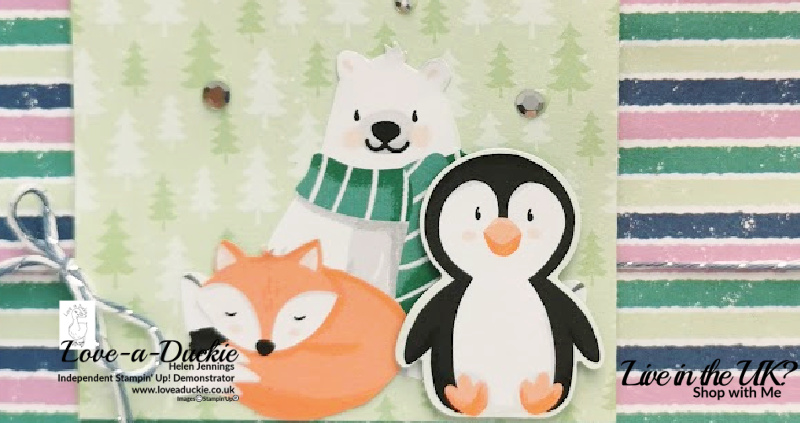 Penguin Place Bundle and Coordinating DSP