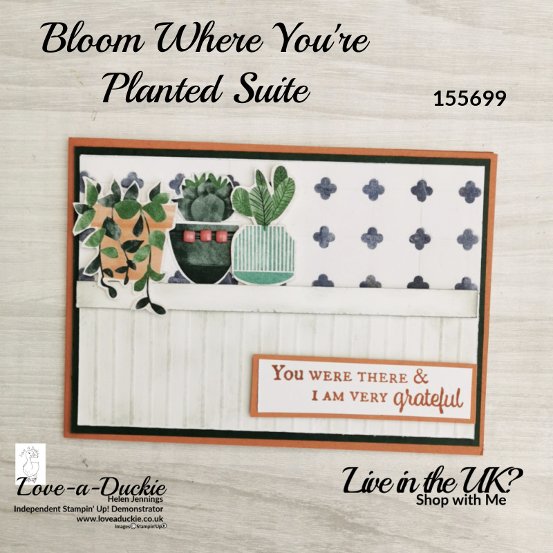 A card featuring plants fussy cut from patterned paper and a panel created by scoring card. All products are Stampin' Up!