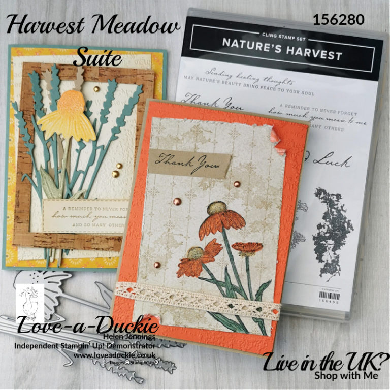 Harvest Themed Cards - Love A Duckie