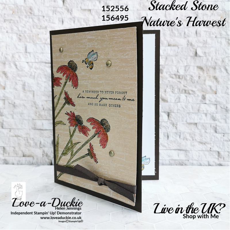 The bee from Stampin' Up's Garden Wishes stamp set is used both inside and out on this card featuring background stamps.