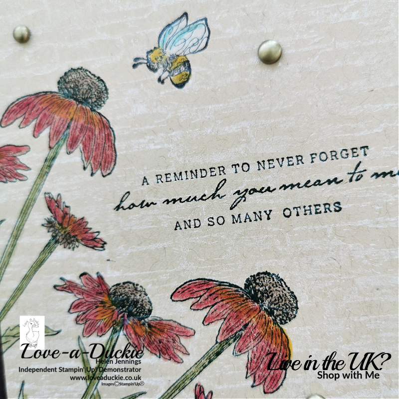 Stampin' Up's background stamp has been inked with white craft ink and the flowers on top coloured with watercolor pencils.