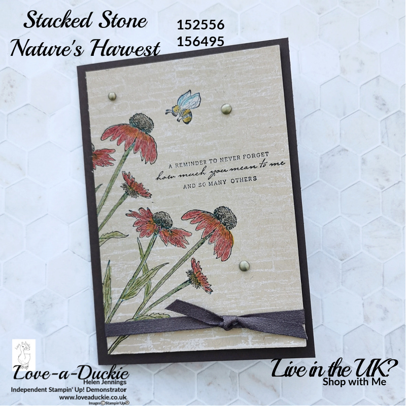 A card using the stacked stone Background stamp and the flowers from Stampin' Up's Nature's Harvest bundle