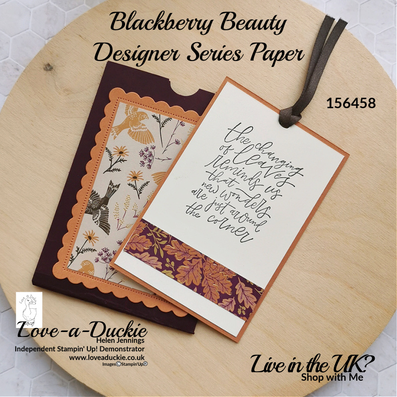 A gorgeous sentiment and stunning Designer Series papers on this pocket card using the Blackberry Beauty Suite from Stampin' Up!