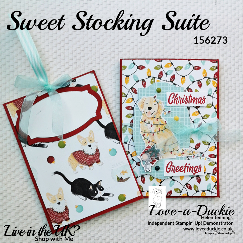 Sweet Stocking Designer Series Papers from Stampin' Up have been used on the outside and inside of this pocket gift card holder.