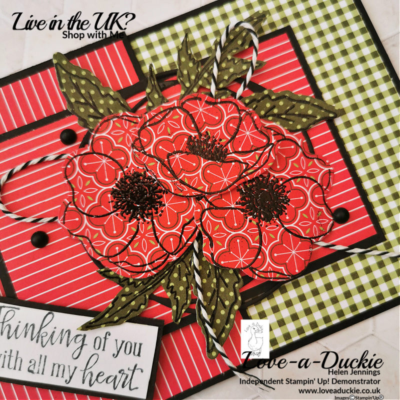 The patterned paper from Stampin' Up's Heartwarming Hugs pack adds colour to this stamped images of poppies and leaves.