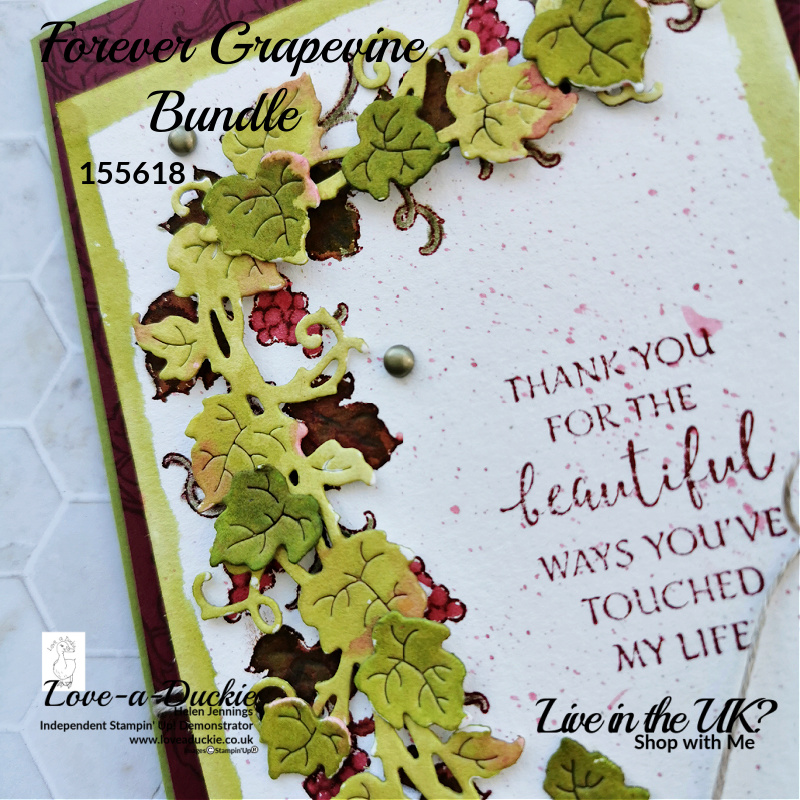 These grapevine die cuts have been watercoloured with Stampin' Up inks