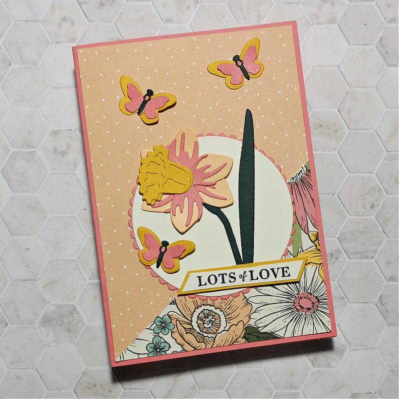 Daffodil cards using a card sketch and Daffodil Afternoon paper from Stampin' Up.