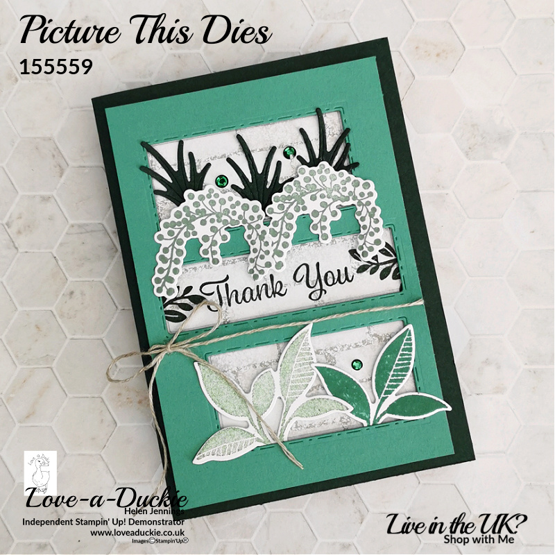 The Picture This dies and the Plentiful Plants bundle, both from Stampin' up! are used to create a fun aperture card