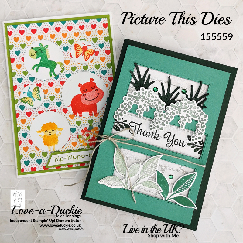 Two fun aperture cards using stamps and dies from Stampin' up!